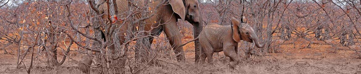 Vhembe Accommodation footer banner